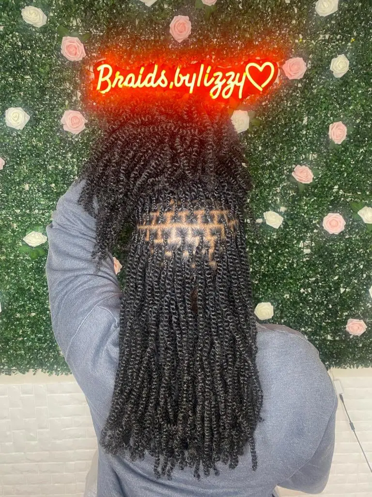 spring twist braids